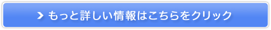 �C�r�T�N���[���̔��T�C�g��